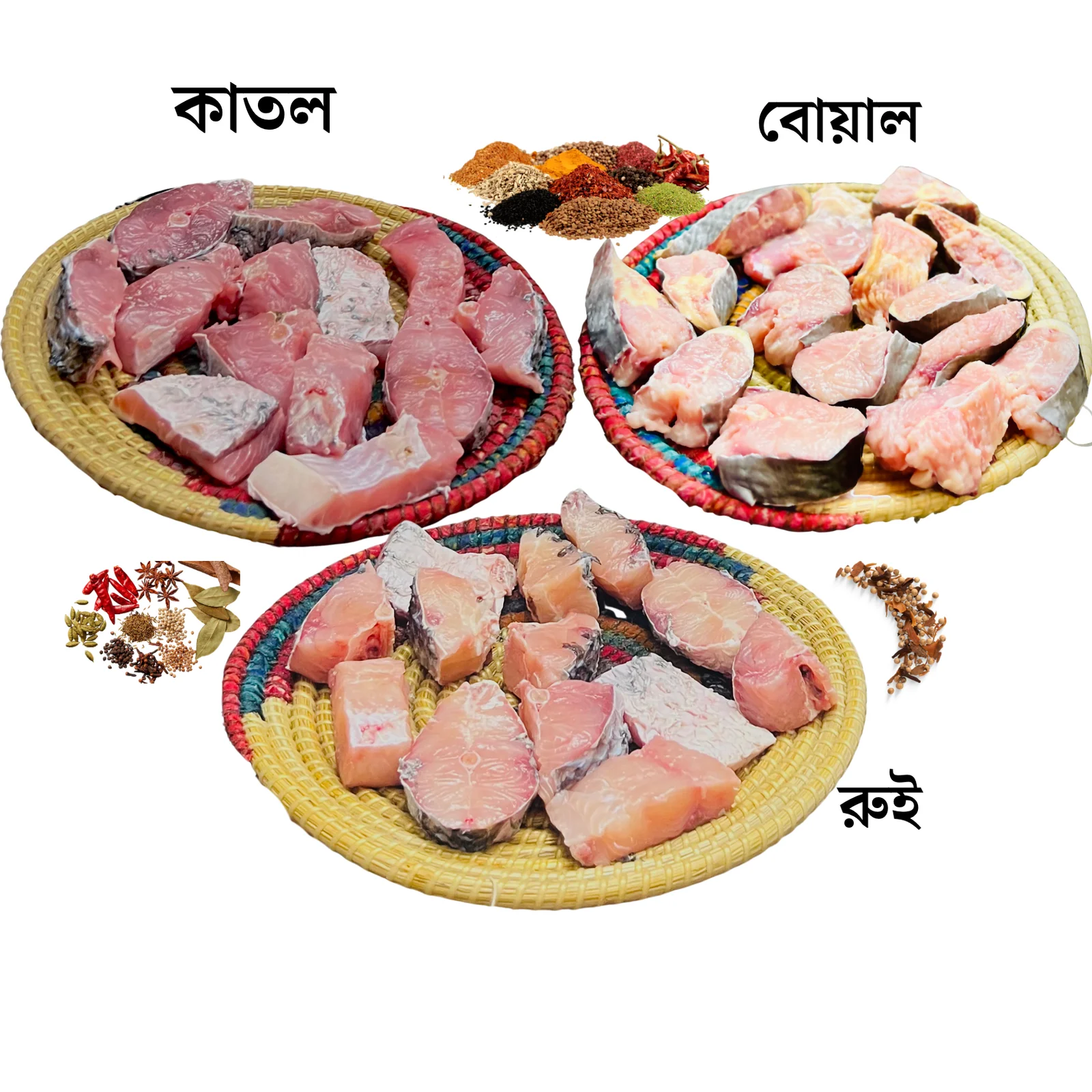 চিংড়ী-2