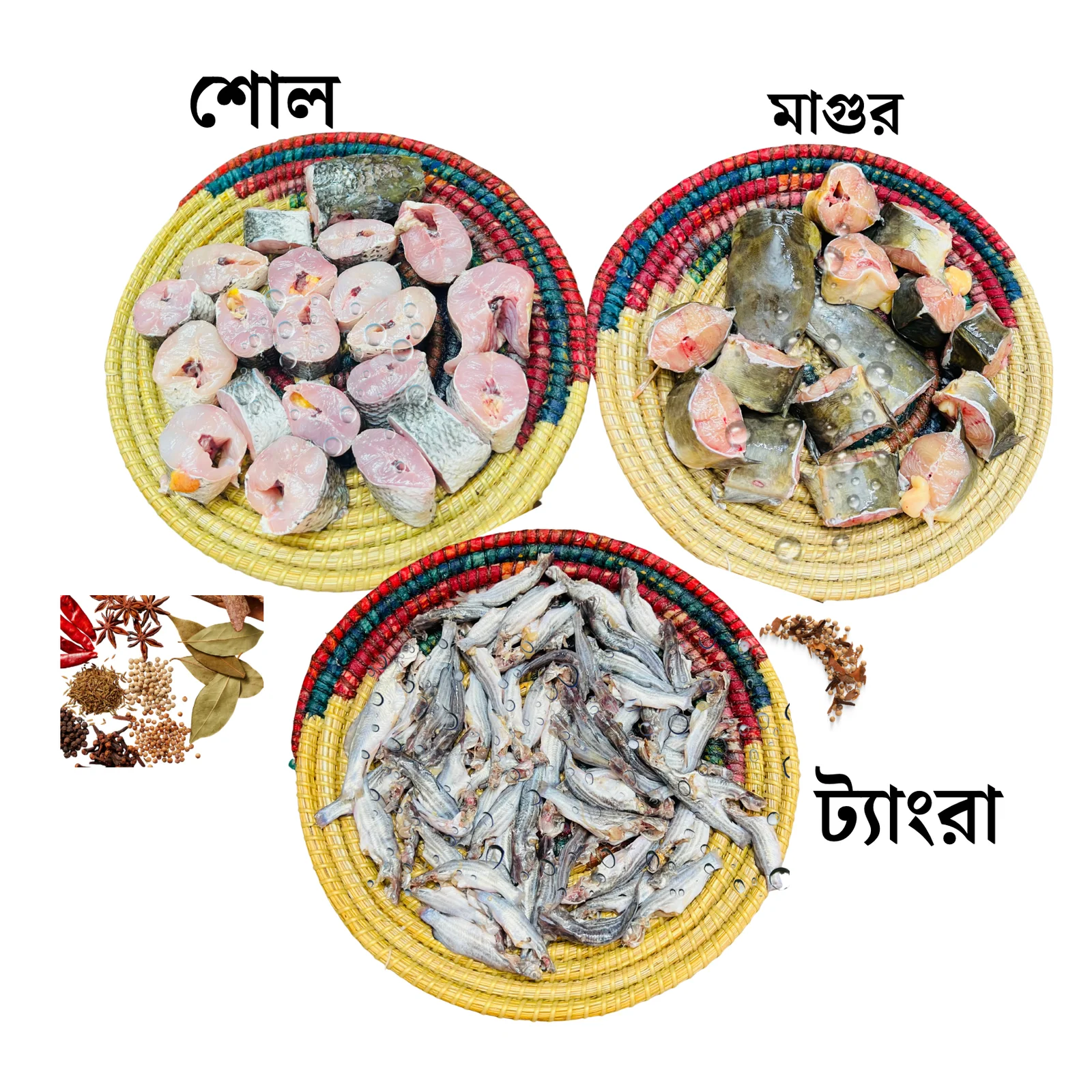 চিংড়ী-5