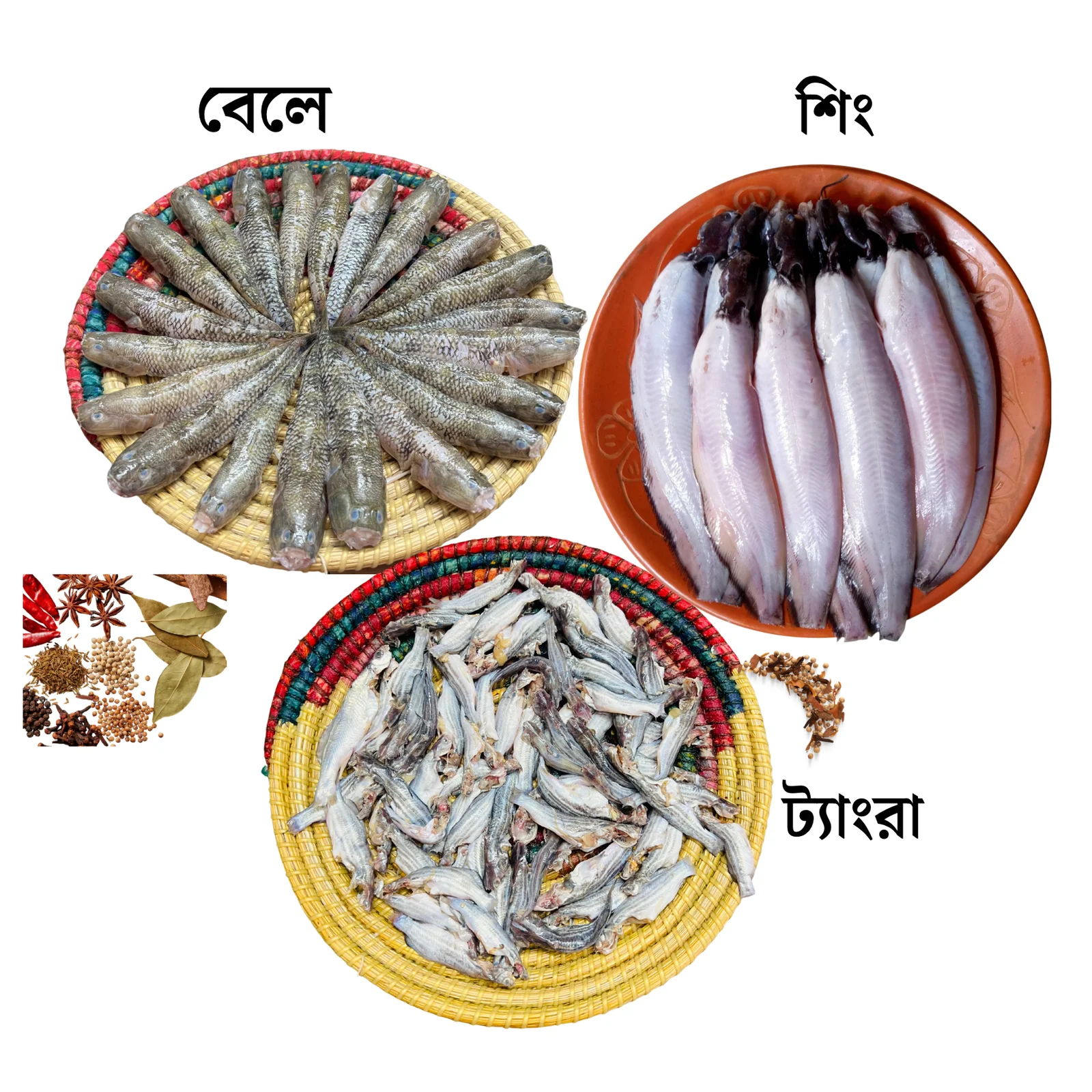 চিংড়ী-7